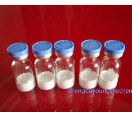 factory supply anti-aging white peptide powder Recombinant Human Collagen I Collagen 1