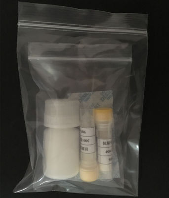 Good quality white color Brain Natriuretic Peptide-32 (human),CAS 124584-08-3 Youngshe Chem